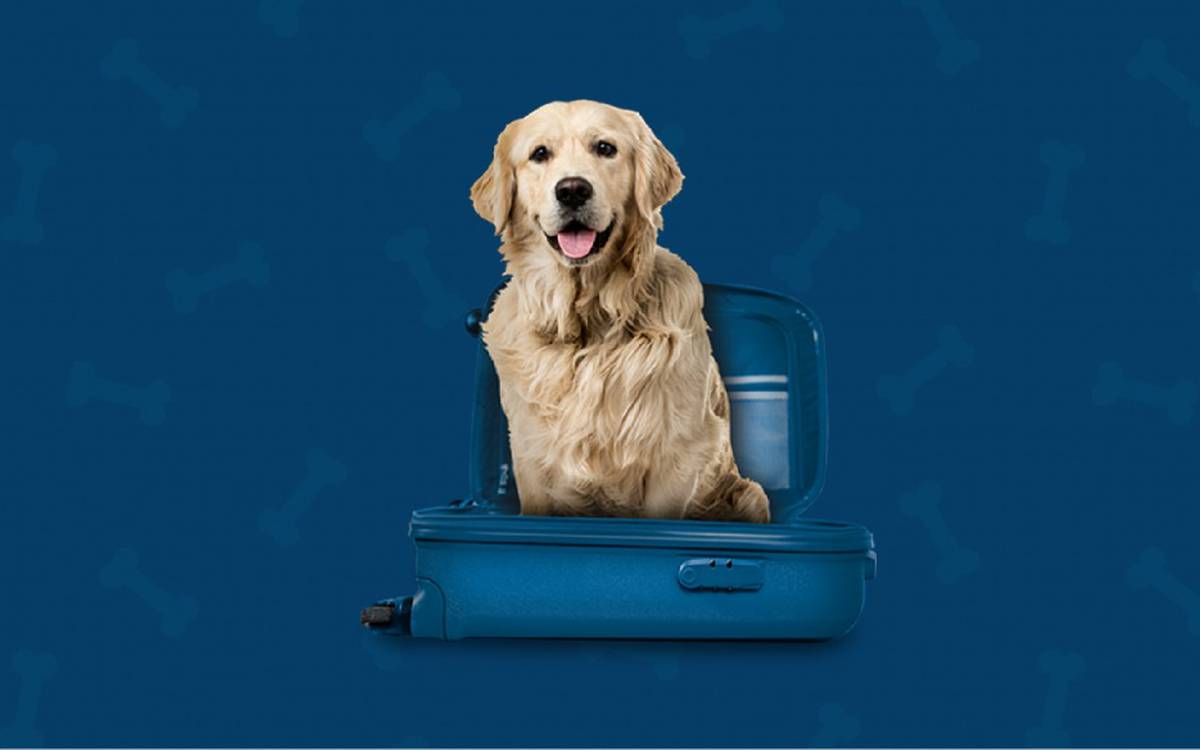 Somos pet friendly Hotel ILUNION Barcelona Somos pet friendly Hotel ILUNION Barcelona